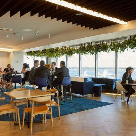 Office space - Auckland. Click for details.