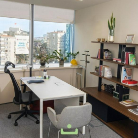 Office suites to hire in Istanbul. Click for details.