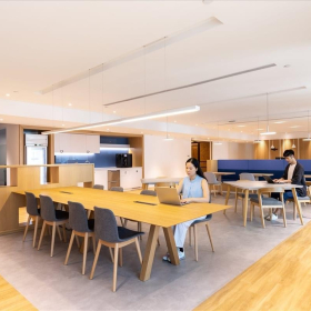 Modern open plan coworking space with long wooden tables, Central Plaza, Wan Chai, Hong Kong.. Click for details.