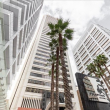 Office accomodations in central Perth