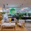 Executive office to let in Sydney