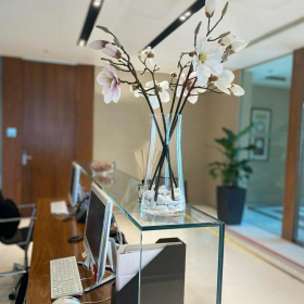 Serviced office centres to let in Istanbul. Click for details.