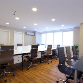 Serviced office centres in central Istanbul. Click for details.
